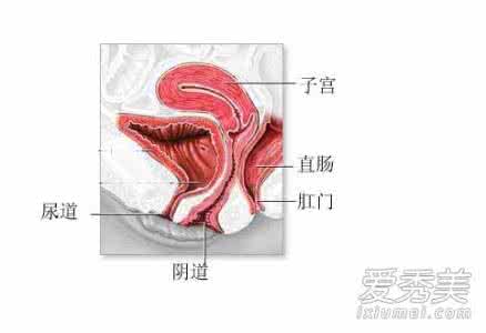 阴道炎该怎么办 女性阴道松该怎么办