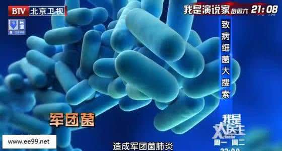 白醋的妙用 我是大医生20141201 王贵强讲白醋的妙用,超级细菌