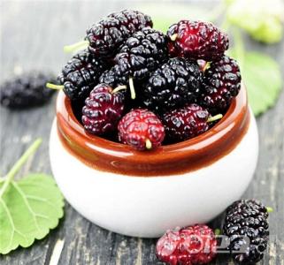 孕妇为什么不能吃桑椹 孕妇能吃桑椹吗 孕妇能吃桑椹吗？注意适量原则