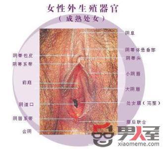 阴部长虱子是性疾病吗 阴部长虱子是性疾病吗 男人阴部痛痒要小心这六种疾病