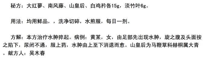 尿闭不通 畲族秘方:尿闭不通水肿验方红风皇汤