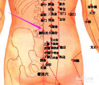腰阳关 腰阳关穴_(督脉)查询