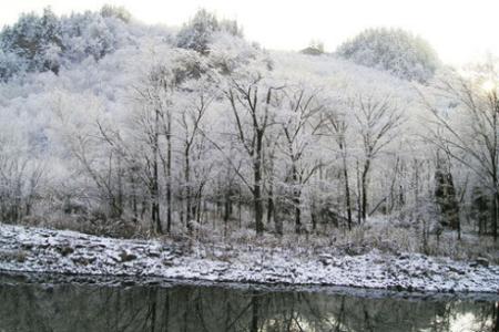 怎么形容雪落的声音 雪落的声音