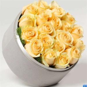 香槟玫瑰的花语是什么 香槟玫瑰的花语 香槟玫瑰花语是什么 香槟玫瑰什么样子