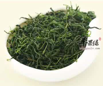 小叶苦丁茶 小叶苦丁茶 小叶苦丁茶的初加工技术