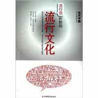 流行文化的定义 流行文化:流行文化-定义,流行文化-学术观点_流行文化