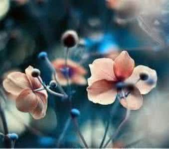 行尸走肉生存本能 instincts 转嫁各种焦虑 生存本能 Life instincts_instincts