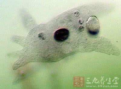 中国田径新星 美国14岁田径新星游泳感染食脑虫不治身亡