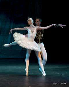 天鹅湖芭蕾舞 极品视听---天鹅湖芭蕾舞