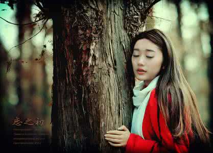 网 络 情 歌 45 首