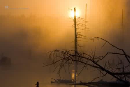 享受孤独 走进孤独享受孤独