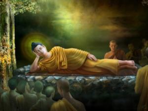 星云大师批评净空法师 星云法师：“借花献佛”的由来