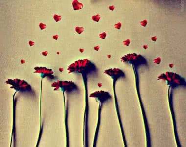 懂得珍惜才配拥有 懂得珍惜才配拥有 懂得才能相守，珍惜才配拥有