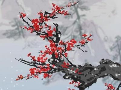 只有香如故 犹见，落梅如雪，香如故