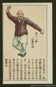 黄飞鸿少林拳 电影 黄飞鸿少林拳 电影 少林拳 | 秘传少林罗汉功(2)