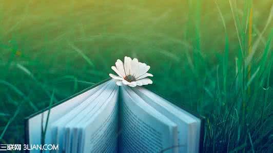 心灵鸡汤 20句心灵鸡汤，慰藉心灵抵御冷空气