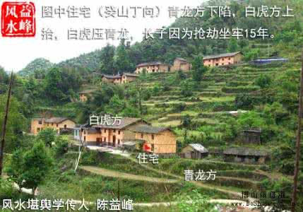 卖房子买车算不算败家 陈益峰：那些房子越住越败家