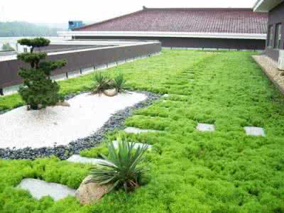 海绵城市屋顶花园 超美的屋顶花园，海绵城市的另类做法