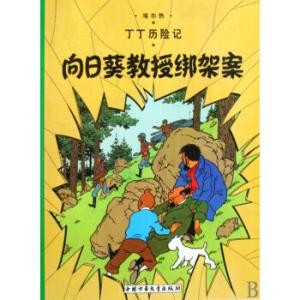 丁丁历险记之太阳神庙 丁丁历险记:丁丁历险记-作者简介,丁丁历险记-内容简介 丁丁历险记之太阳神庙