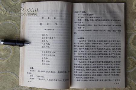 java 注解 《阐奥歌章》注解