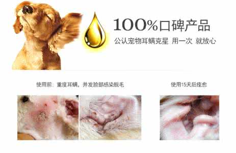 面部清洁 狗狗面部清洁护理