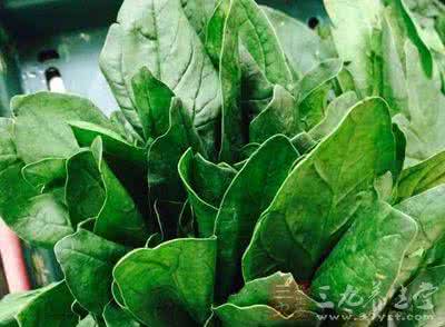 尿结石患者吃什么好 尿结石是怎么形成的 吃菠菜竟会患尿结石