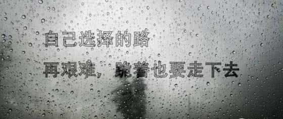 落花有意流水无情 经典语录：落花本来有意，流水本也无情