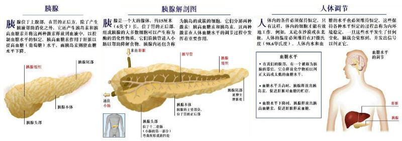 糖尿病阳萎用什么中药 糖尿病阳萎中药配方 什么药对糖尿病阳萎快？