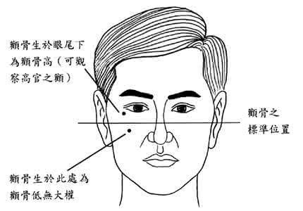 面相学 面相相学运势:颧骨看男人的命相吉凶(图)