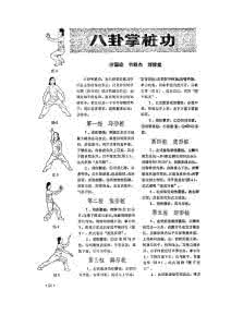 八卦掌桩功 八卦掌桩功——沙国政