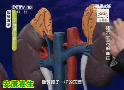 健康之路高血压 健康之路视频20150118 母义明,肾上腺肿瘤,肾上腺高血压