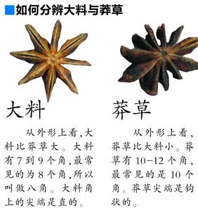 茄子做菜有毒吗 【做菜的大料与有毒莽草区分】