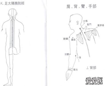背部腰痛 下背部僵硬和疼痛 快速治腰痛和腰背部僵硬如板的拨筋法