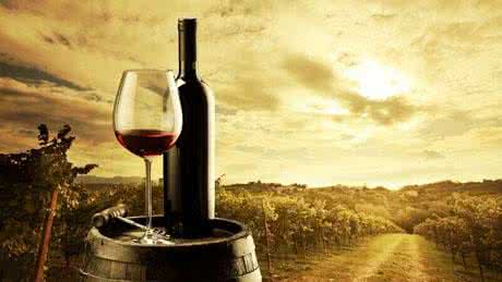 法国葡萄酒历史文化 法国葡萄酒的历史与文化