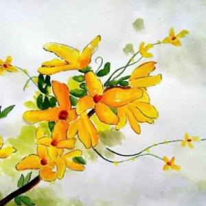 红楼之花开迎春笑 迎春花开——独恋东风第一香