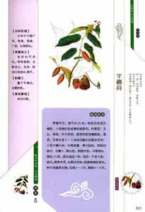 中草药大全图文 【图文精品】中草药图样和性能介绍大全，令人一目了然！