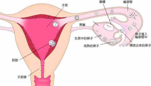 安全期受孕几率大吗 安全期受孕几率高吗