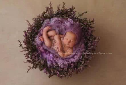 花样年华色彩分析 想玩“花”样，先玩色彩 | 用心！