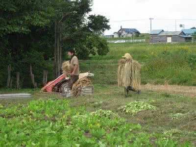 生活在英国还是美国好 生活还是英国乡下好