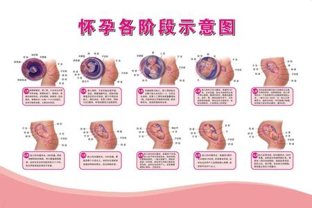 怀孕初期症状小腹痛 怀孕一个月的症状