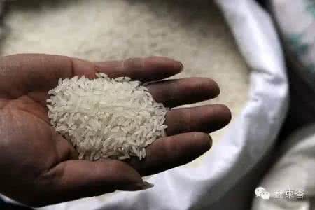 怎样识别转基因大米 怎样鉴别天然大米与毒转基因大米