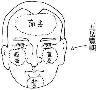 女人大富大贵的手相 朱砂掌手相 朱砂掌手相的人，一辈子大富大贵，金玉满堂！