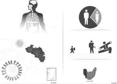 禽流感变异 台官方称新H5N2禽流感非自本地变异