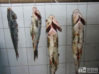 自制五香花生米 技术分享之“咸鱼花生米”（附自制咸鱼干制法）