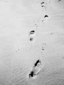 逆境是一条河 逆境是一笔财富！