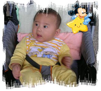 宝宝几个月可以坐推车 五个月宝宝能坐推车吗 五个月的宝宝可以坐吗