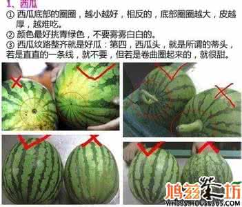 夏天挑西瓜 夏天如何挑西瓜