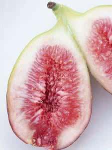 孕妇能吃无花果干吗 孕妇能吃无花果吗 详解孕妇能吃无花果吗?