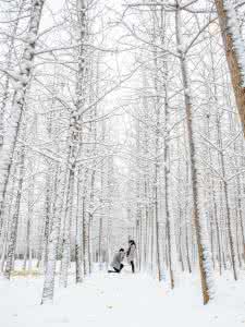 温暖心灵的情感美文 雪落，念倾城【情感美文】