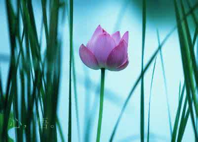 温暖心灵的情感美文 我心珍藏【情感美文】